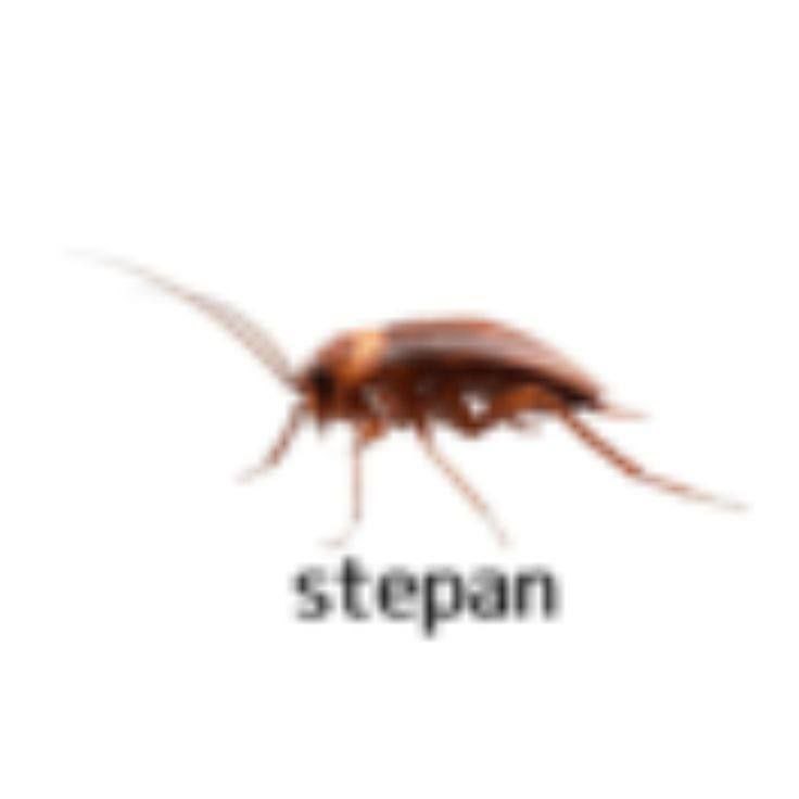 Meme